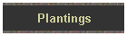 Plantings